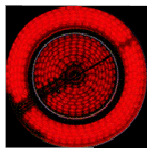 Piper3Dlanguagehungarianhelpfronteditorpical4.jpg